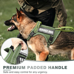 WINSEE harnais panneaux molle pour accessoires modulaires