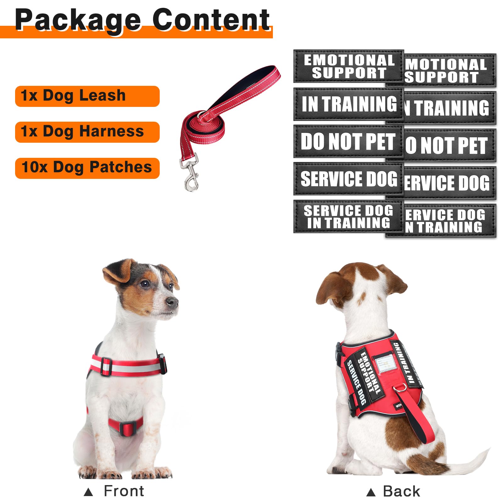 WINSEE ensemble des 10 patches interchangeables pour signaler rôle et statut du chien
