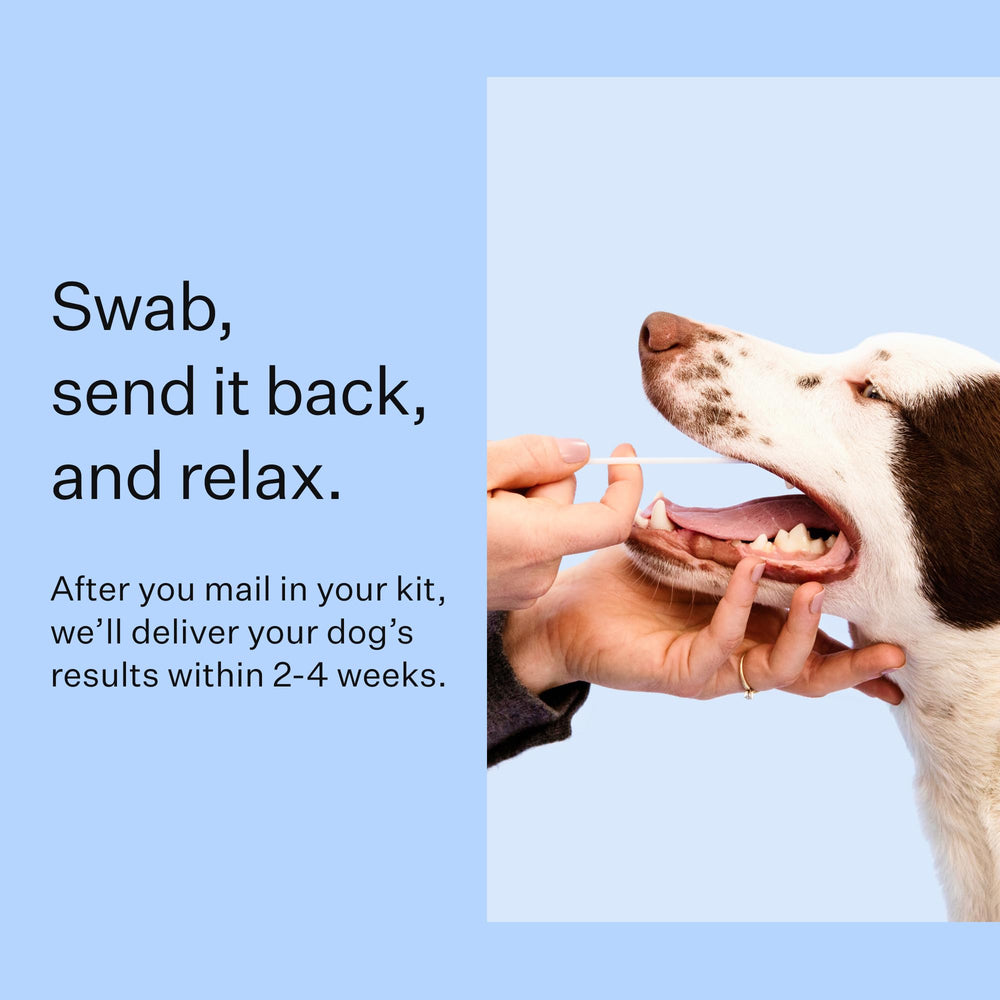 Wisdom Health comparaison photos et correspondances de proches canins