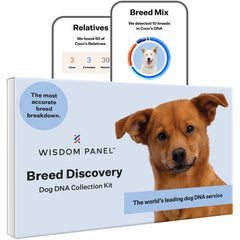 Wisdom Health face avant du kit montrant emballage clair et simple