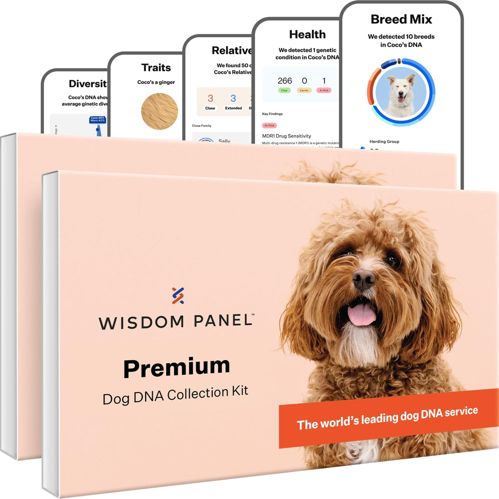 Wisdom packaging avant montrant le kit clair et simple à utiliser