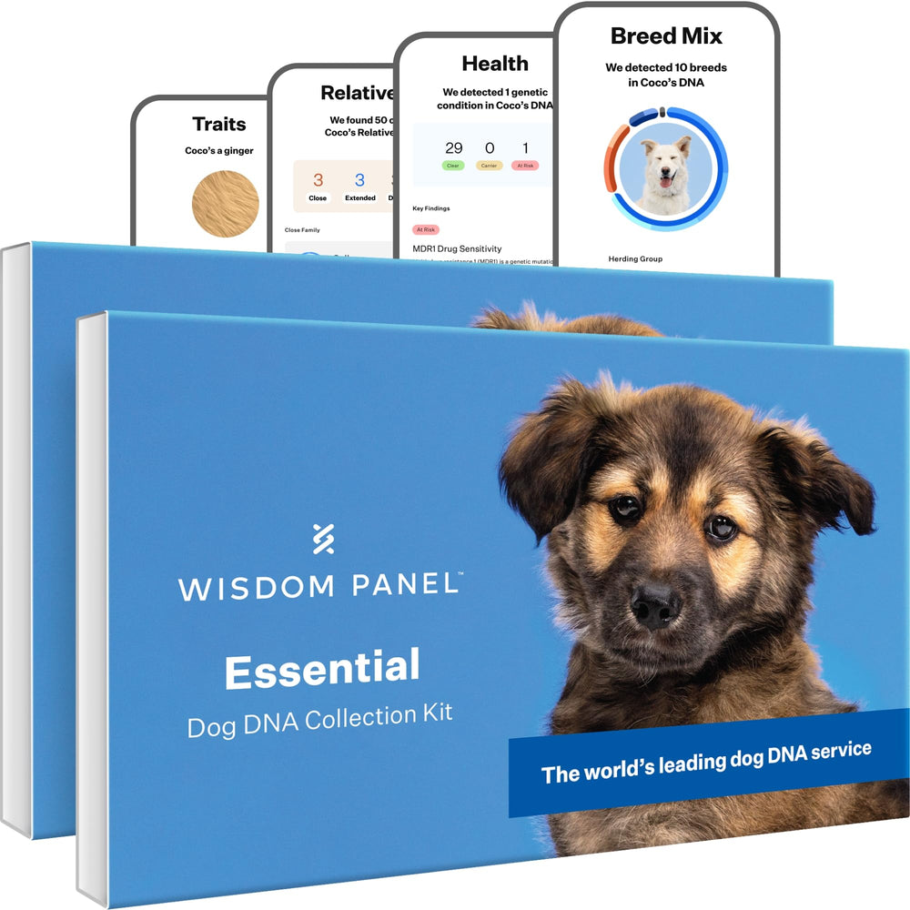 Wisdom Panel packaging devant montrant le kit et informations clés pour une identification rapide