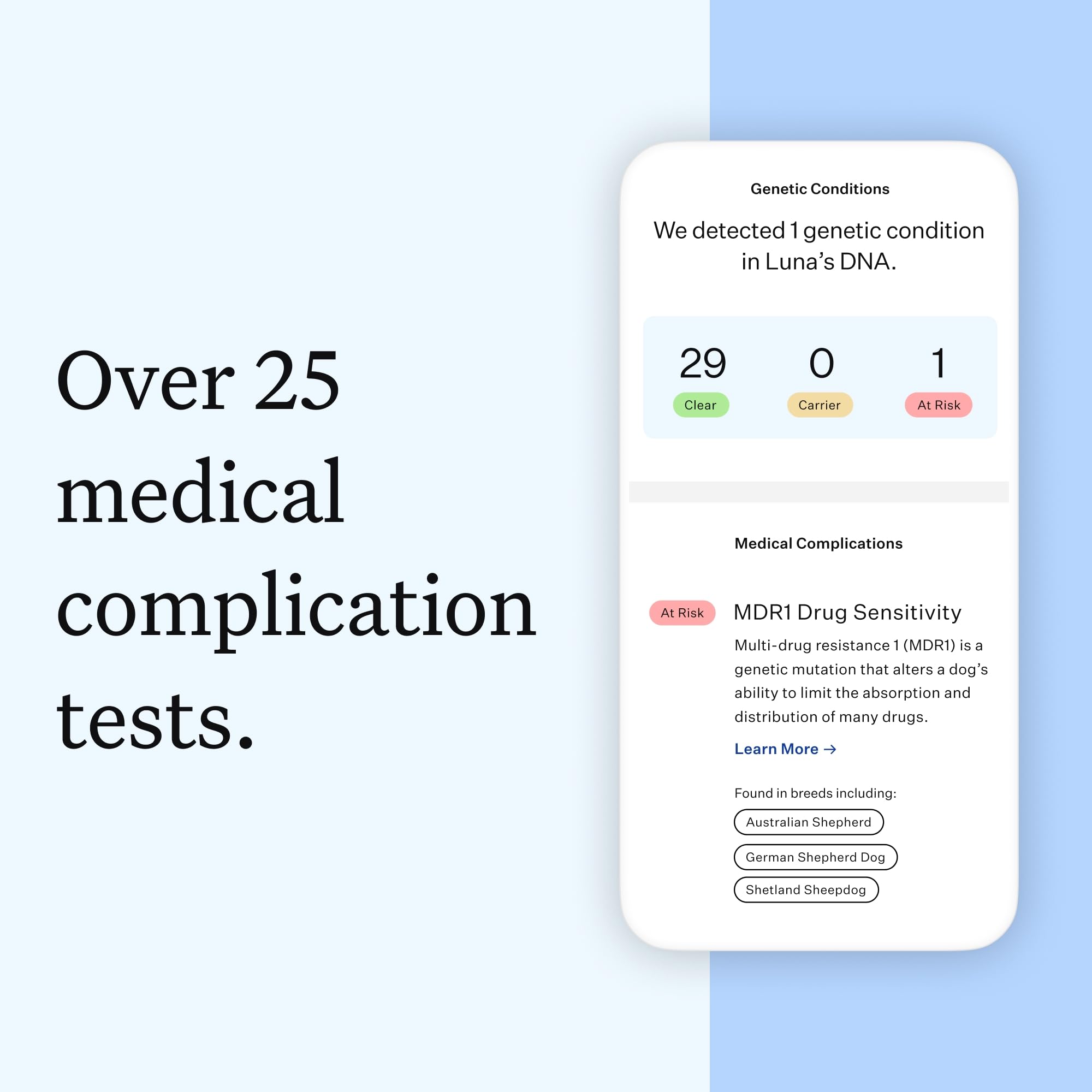 Écran d'ordinateur affichant rapport Wisdom Panel avec races et résultats santé pour décision informée