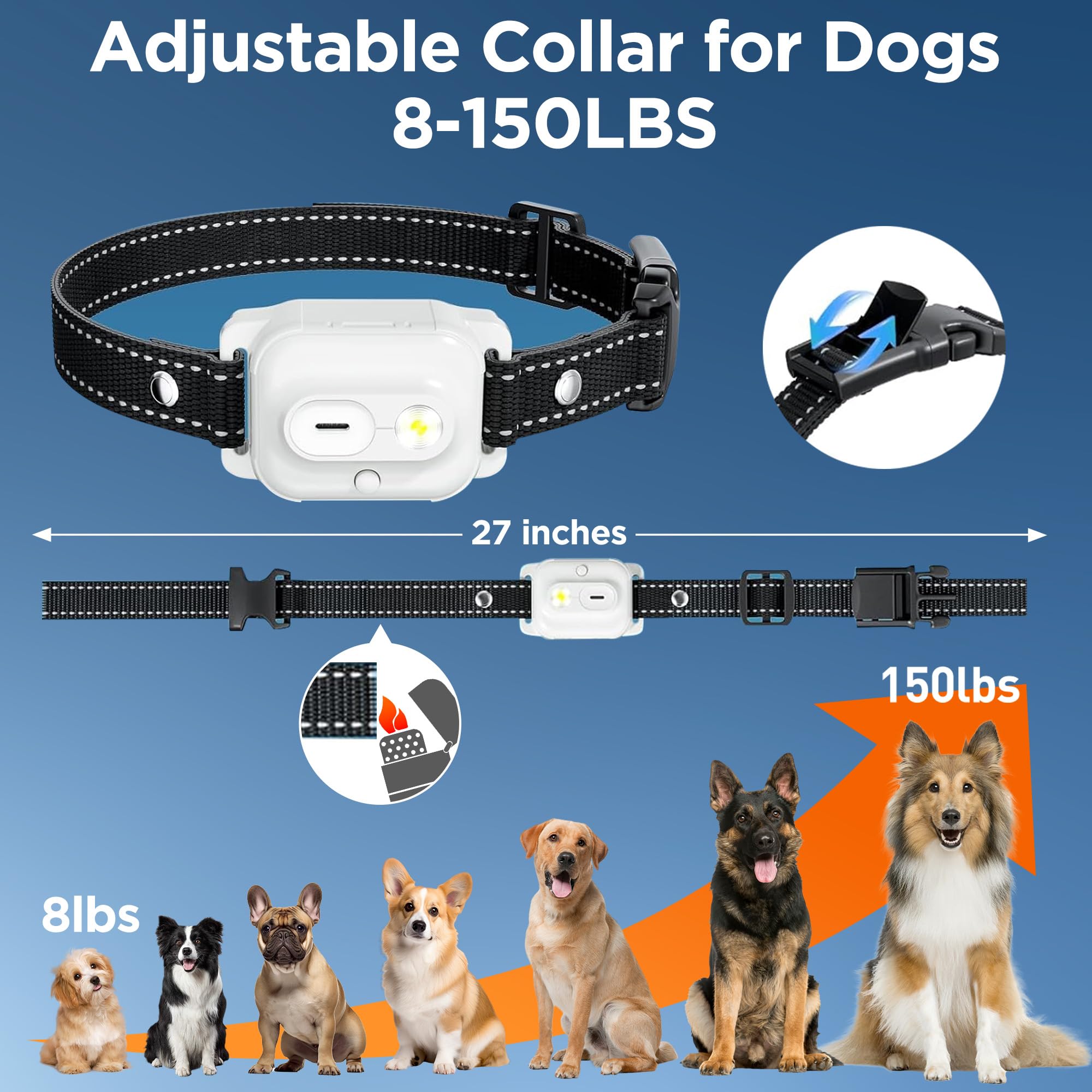Wissilor éclairage nuit pour repérer le chien et améliorer sécurité