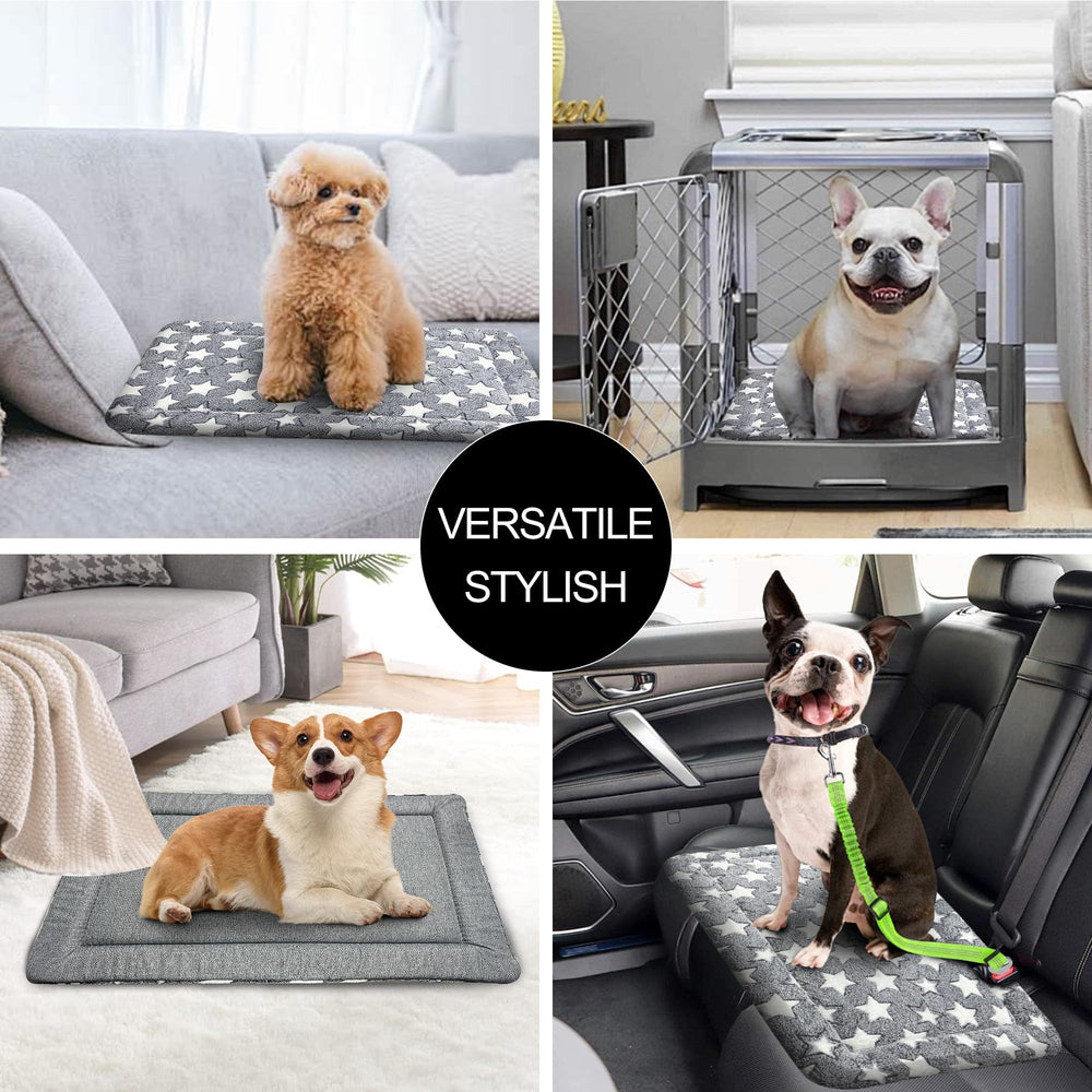 Wittop comparaison taille 24in montrant ajustement pour petites caisses