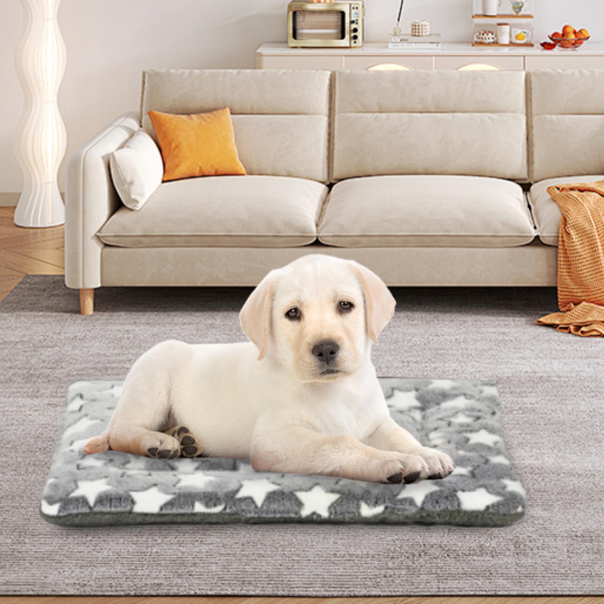 Wittop style de vie sur canapé montrant confort domestique apaisant