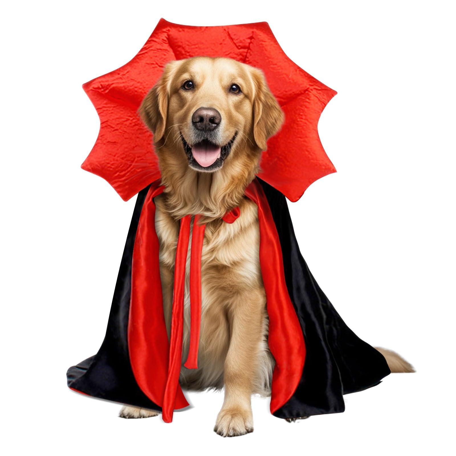 Wiz BBQT cape vampire devant sur chien, look Halloween accrocheur