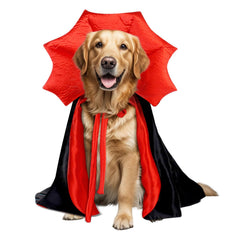 Wiz BBQT cape vampire devant sur chien, look Halloween accrocheur
