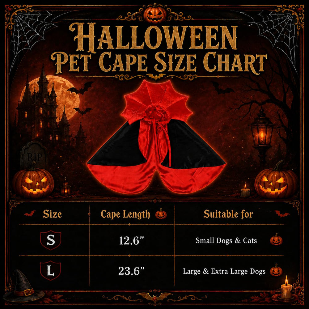 Wiz BBQT cape posée près d’une règle montrant longueur 12,6 pouces, guide taille clair