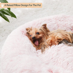 WNPETHOME chien allongé dans le lit montrant détente immédiate