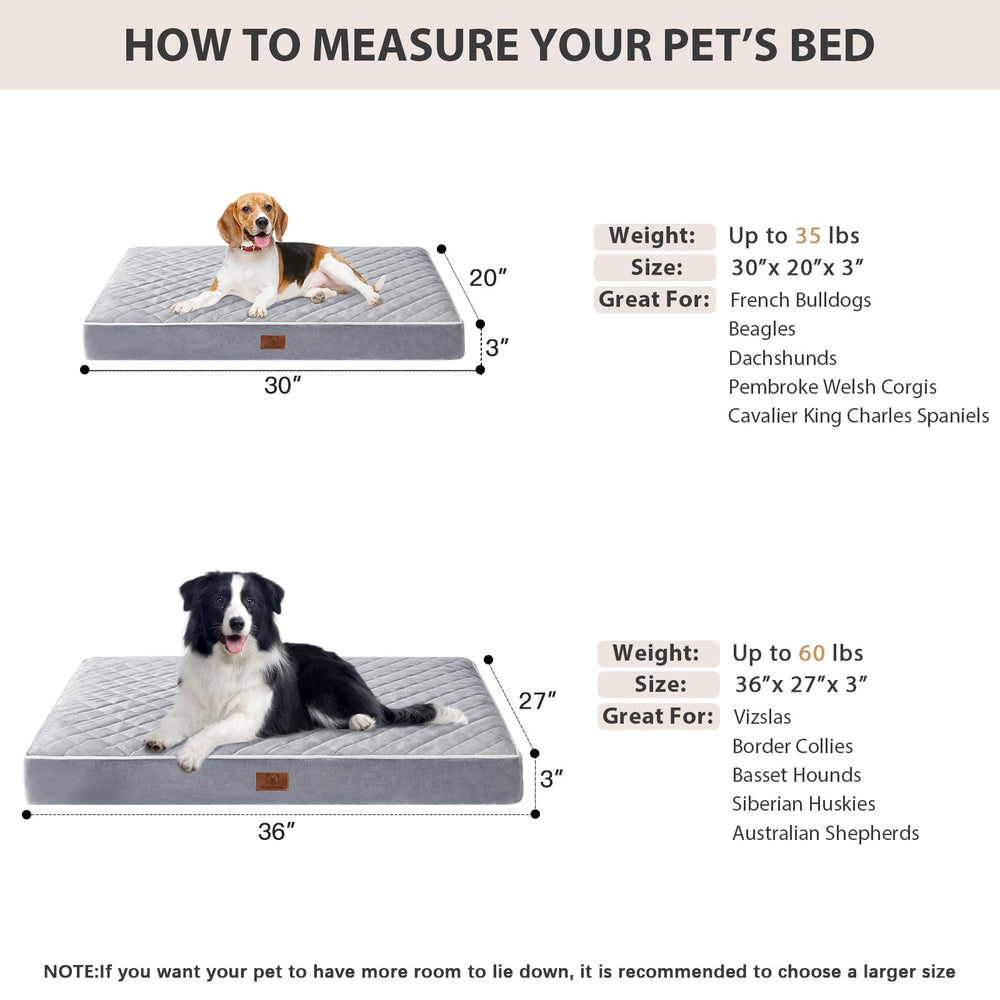 WNPETHOME chien couché démontrant confort et détente