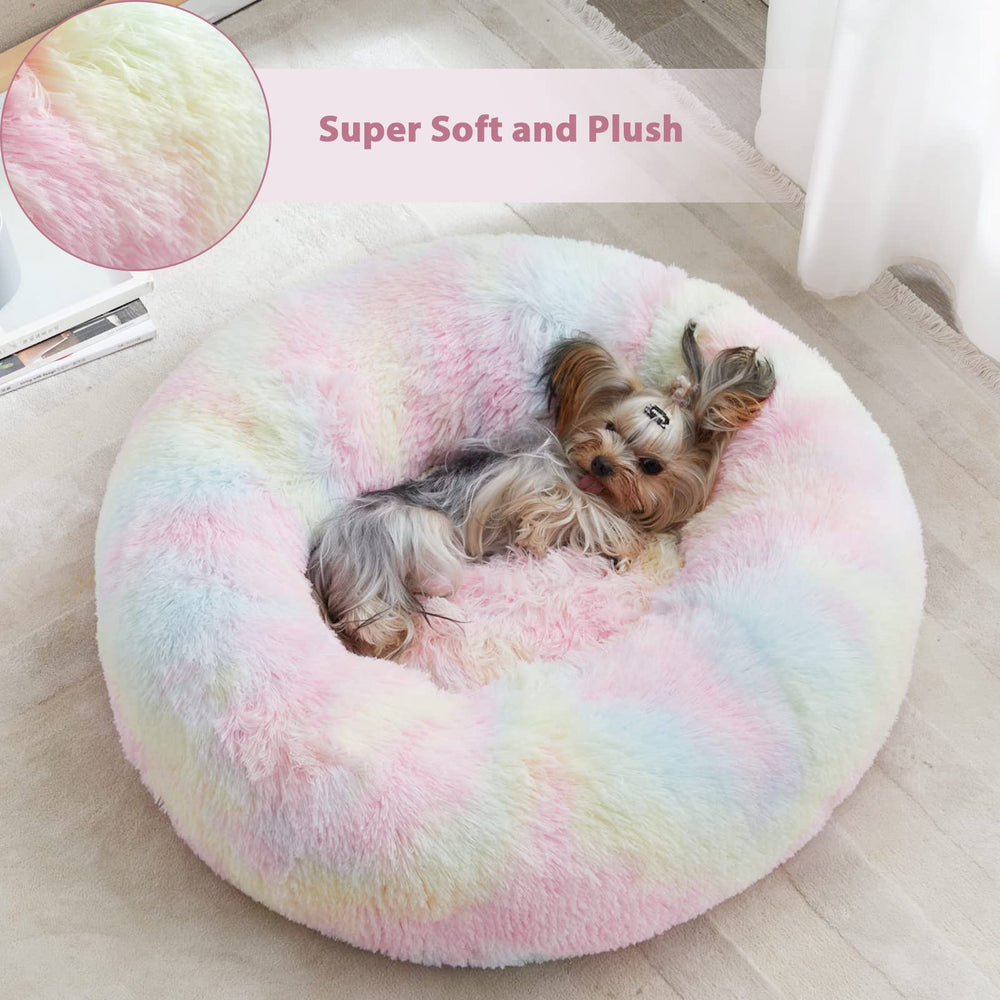 WNPETHOME lit à l'échelle montrant taille adaptée petits chiens
