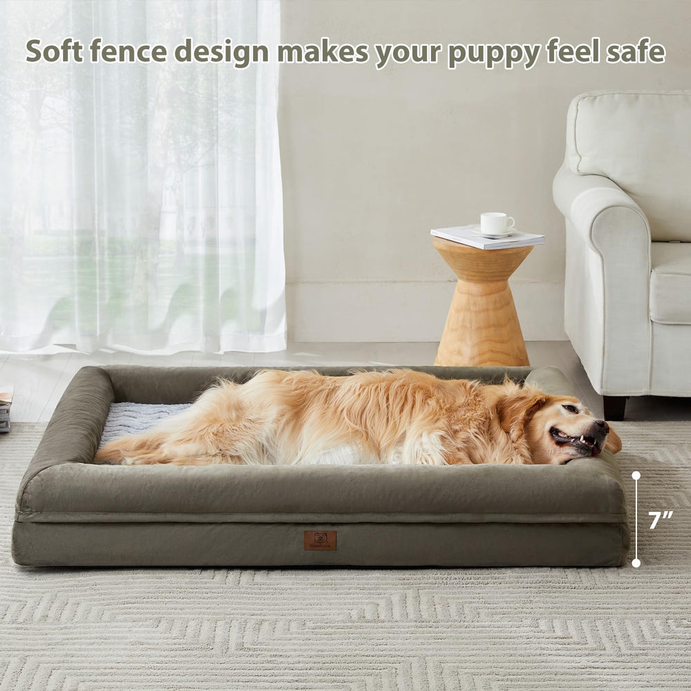 WNPETHOME comparaison taille avec chien montre dimensions adaptées