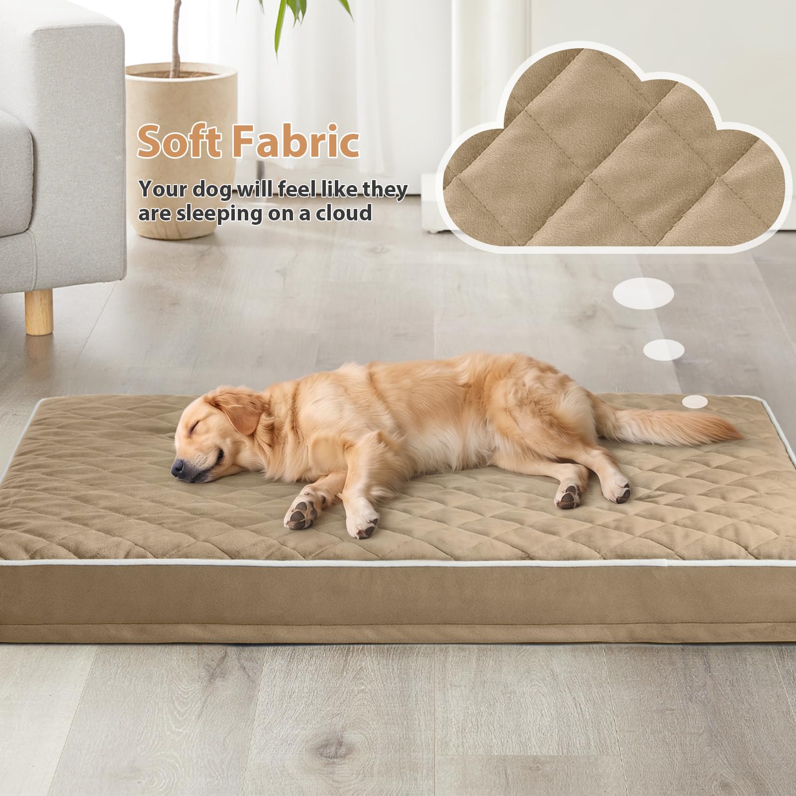 WNPETHOME gros plan du tissu en velours doux offrant confort et chaleur