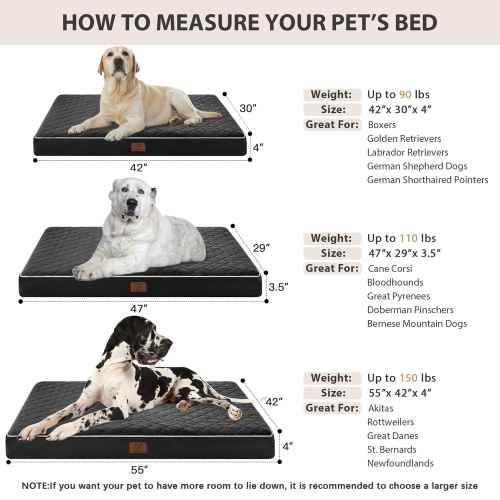 WNPETHOME chien reposant sur lit illustrant confort et réduction de pression