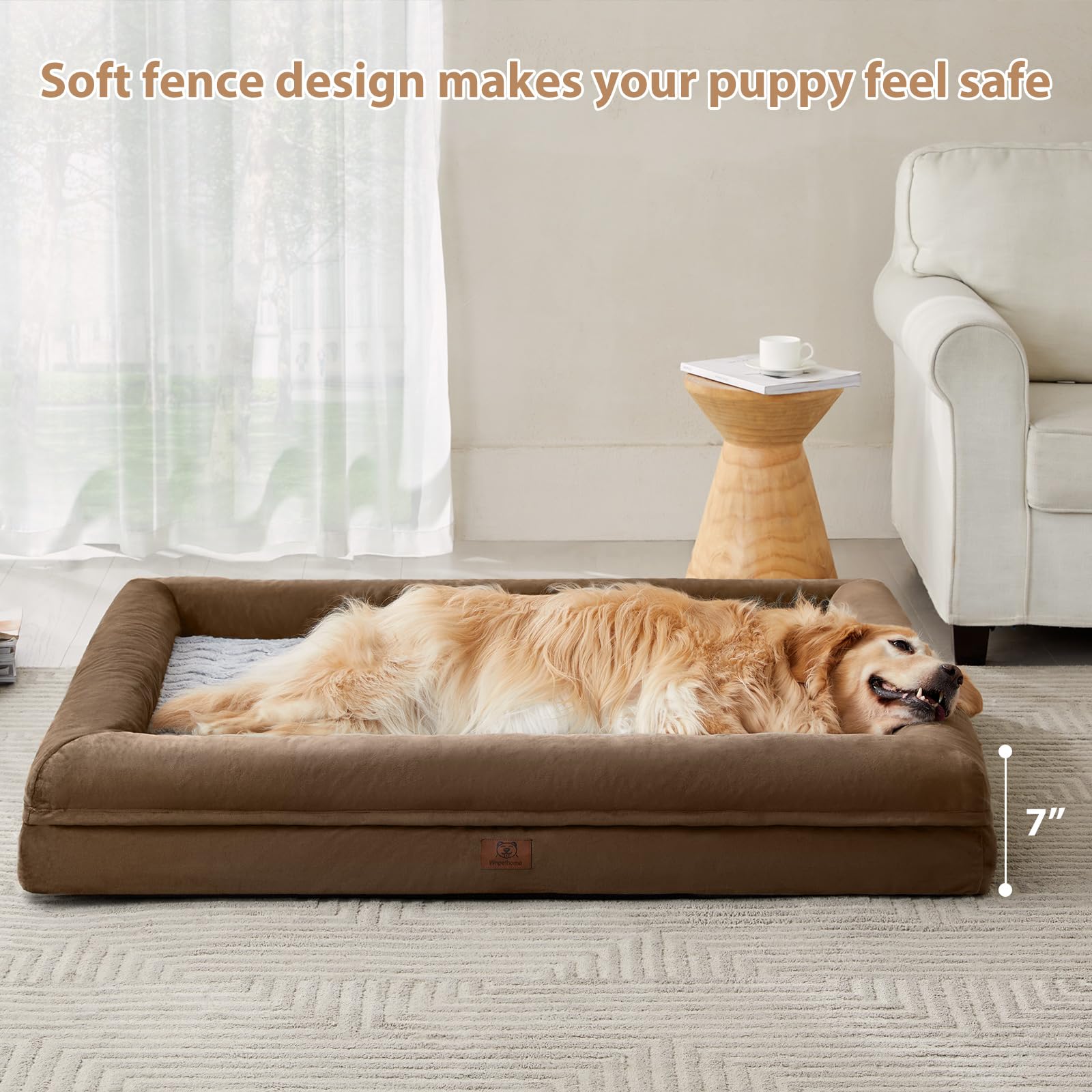 WNPETHOME scène salon chien allongé profitant d'un sommeil confortable