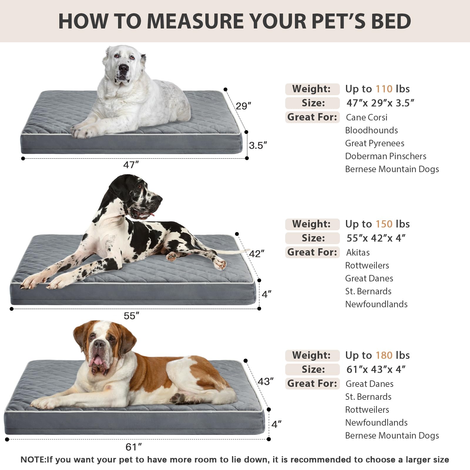 WNPETHOME lit installé dans une caisse pour chien assurant confort et stabilité