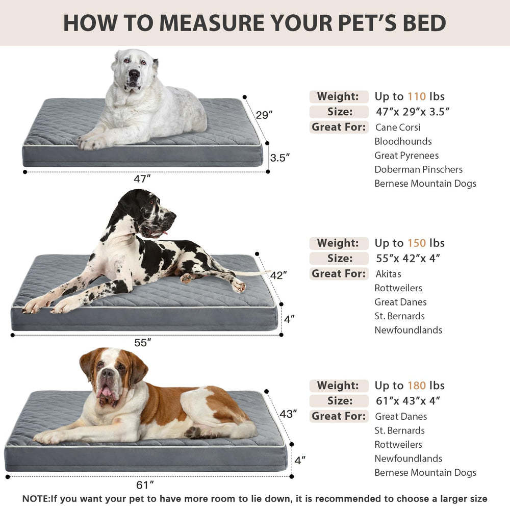 WNPETHOME lit installé dans une caisse pour chien assurant confort et stabilité