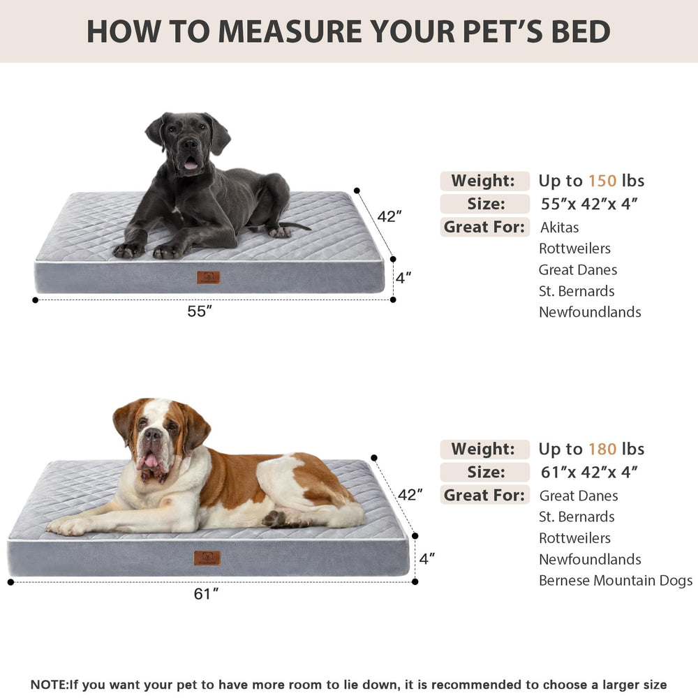 WNPETHOME chien grand couché pour démontrer confort et soutien