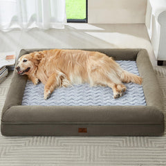 WNPETHOME lit orthopédique XXL face visible, confort amélioré