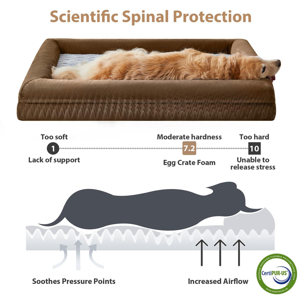 WNPETHOME coupe de la mousse alvéolée montrant maintien orthopédique