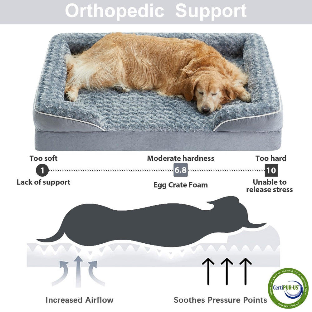 WNPETHOME coupe de la mousse orthopédique montrant soutien uniforme