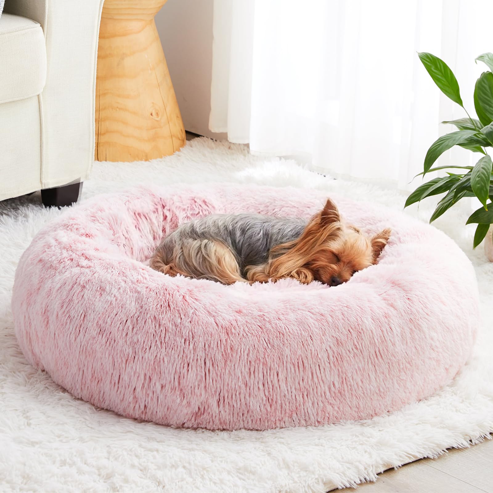 WNPETHOME panier rond rose vue face pour confort apaisant
