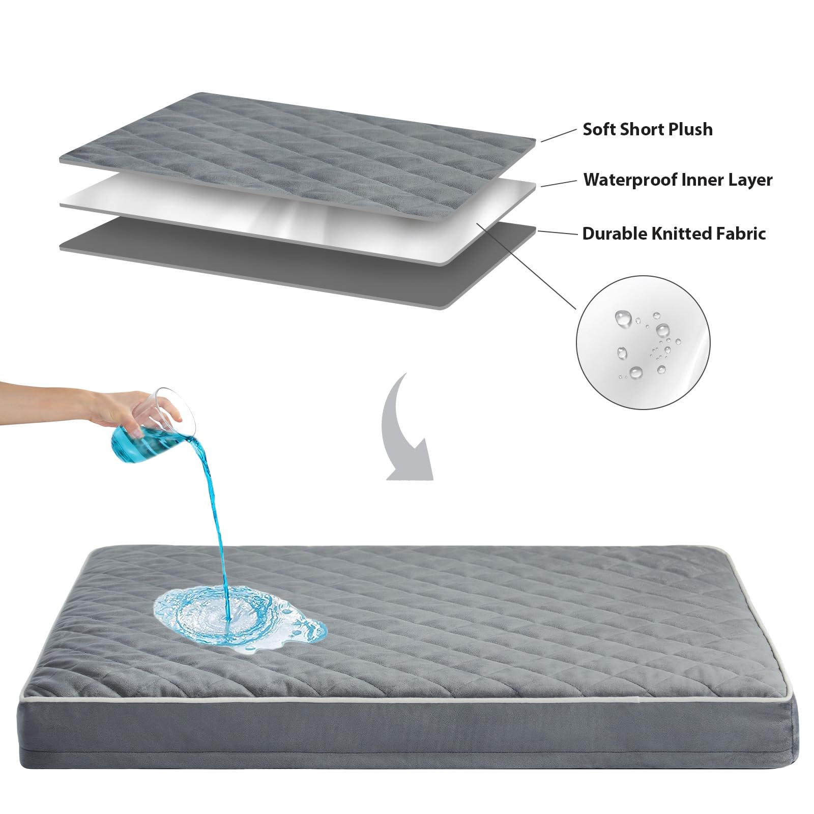 WNPETHOME comparaison taille chien et lit démontrant espace suffisant