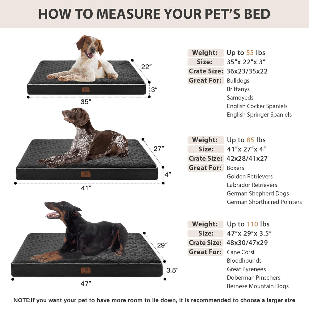 WNPETHOME comparaison de taille montre espace adapté pour grands chiens