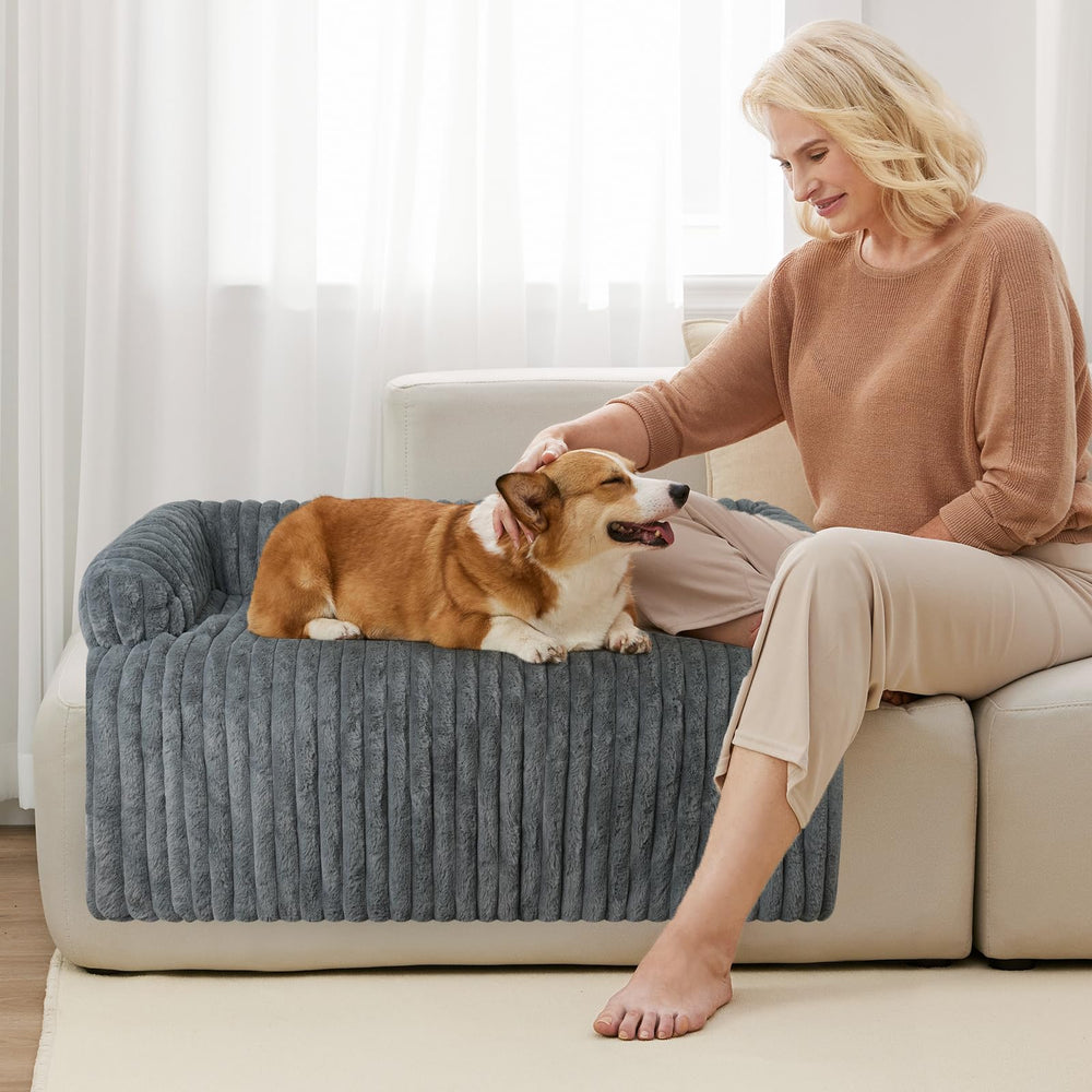 Wn's Day ambiance salon avec chien reposant pour style quotidien