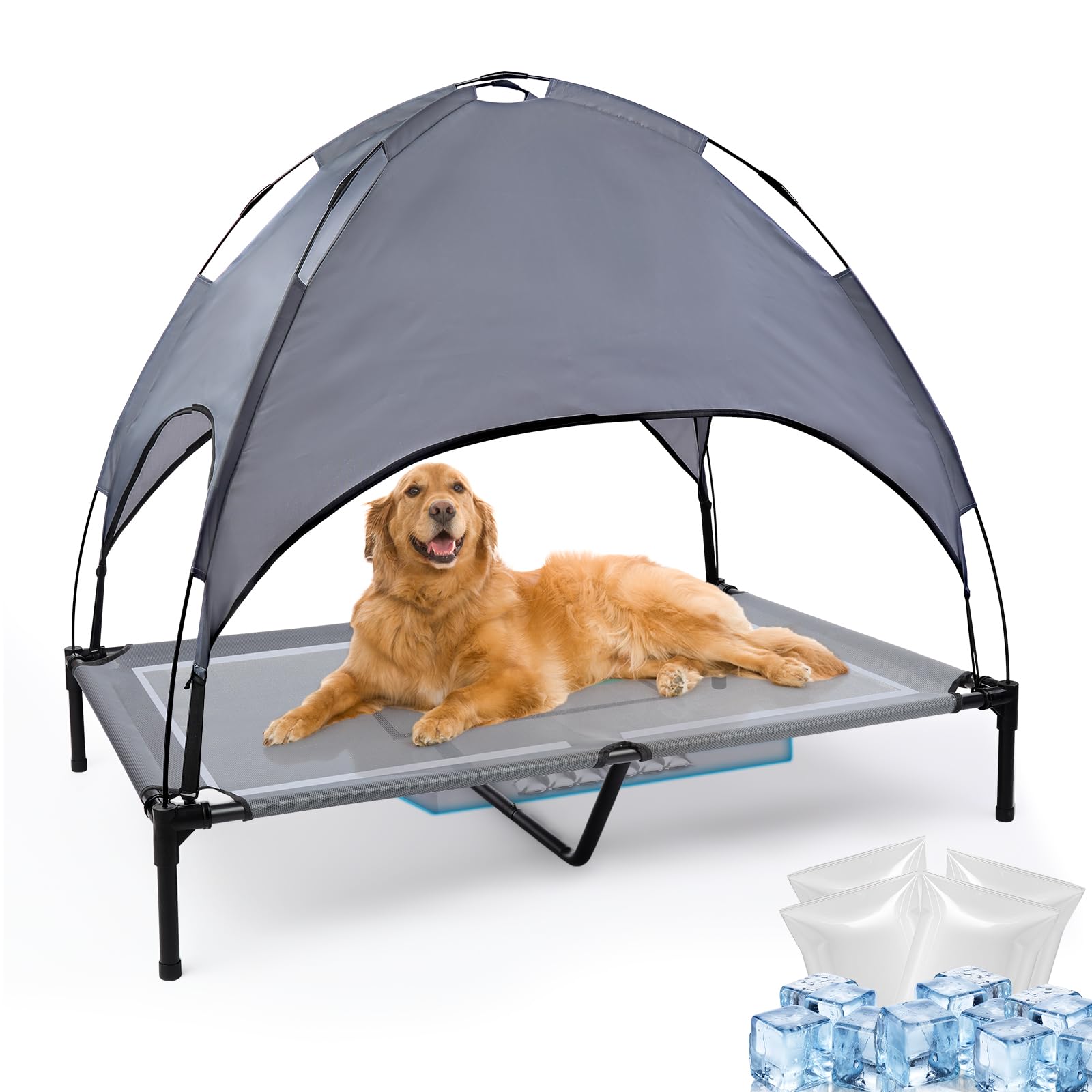 Wn's Day lit avec chien pour comparer taille et capacité de charge