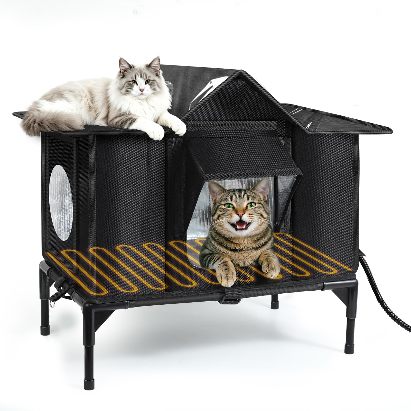 Wn's Day comparaison tailles illustrant capacité pour plusieurs chats