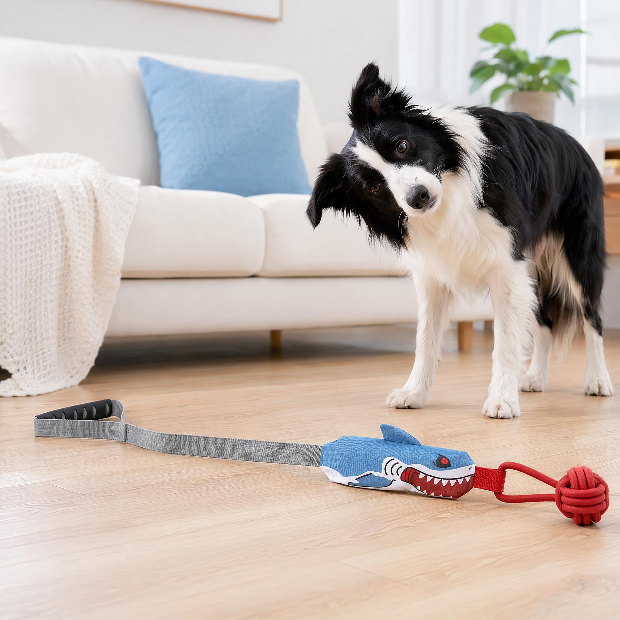 WNXUOZ Shark Dog emballage et etiquette informations produit visibles