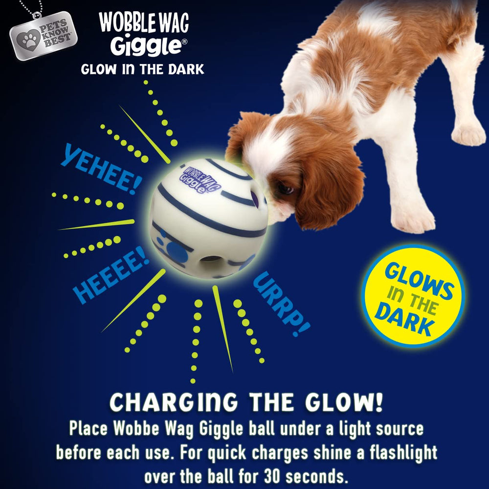 Wobble Wag Giggle chien jouant avec la balle pour exercice et stimulation