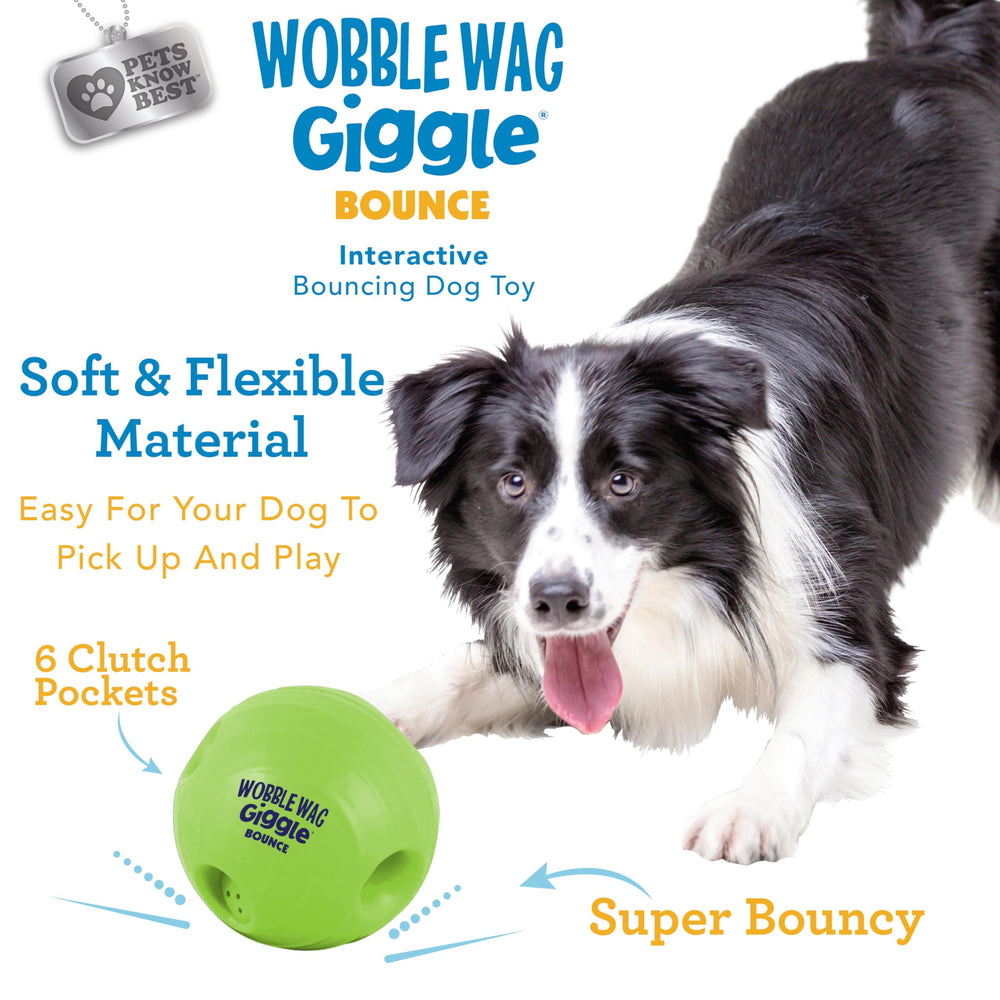 Chien jouant avec la Wobble Wag Giggle en extérieur, encourage exercice actif