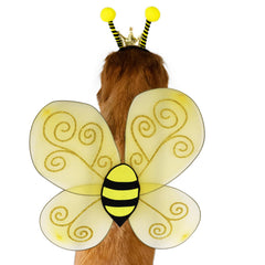 Wodison costume abeille porté par un golden retriever attirant l'attention lors d'une fête