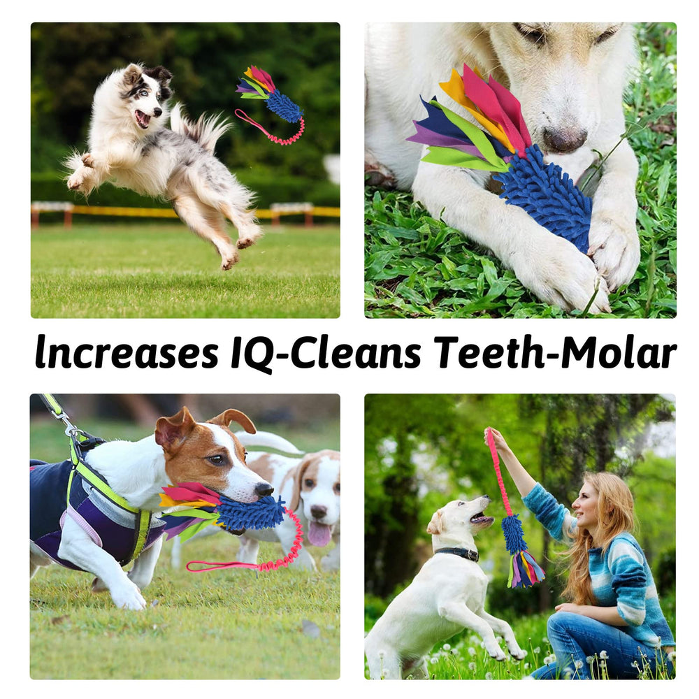 wodoca jouet en usage avec chien favorisant exercice et jeu