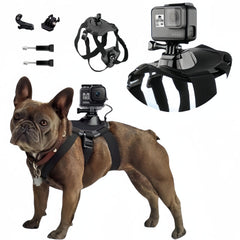 wogerplu harnais avant avec GoPro montrant angle immersif