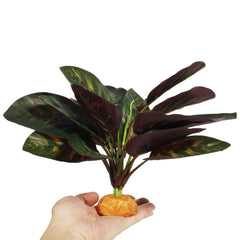 WOLEDOE base en forme de roche stabilisant la plante dans le terrarium