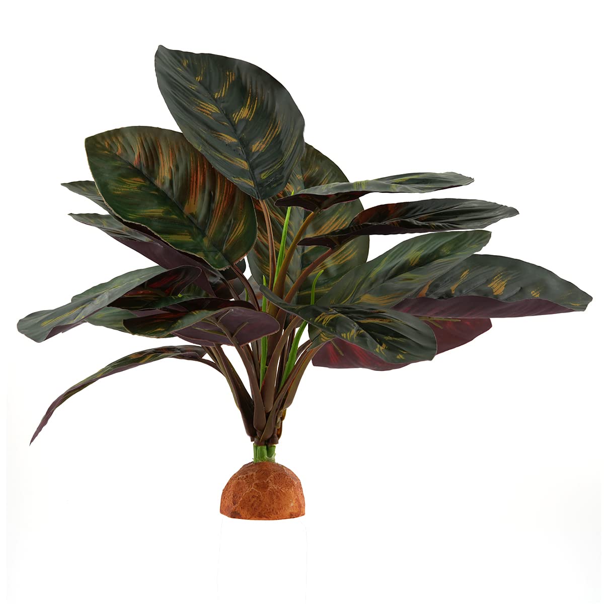 WOLEDOE plante installée en terrarium créant abri et esthétique jungle