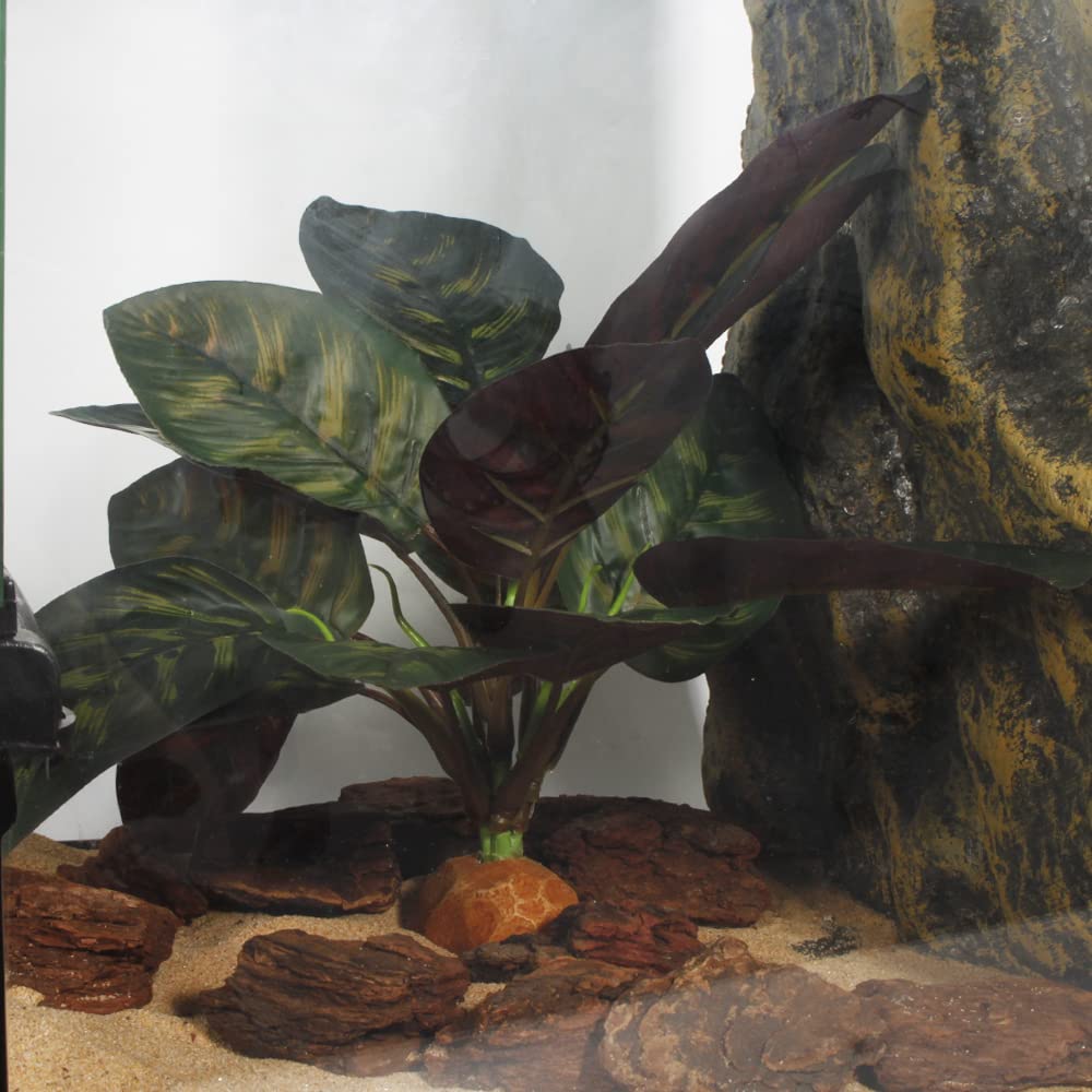 WOLEDOE plante entourée d’accessoires montrant intégration décorative