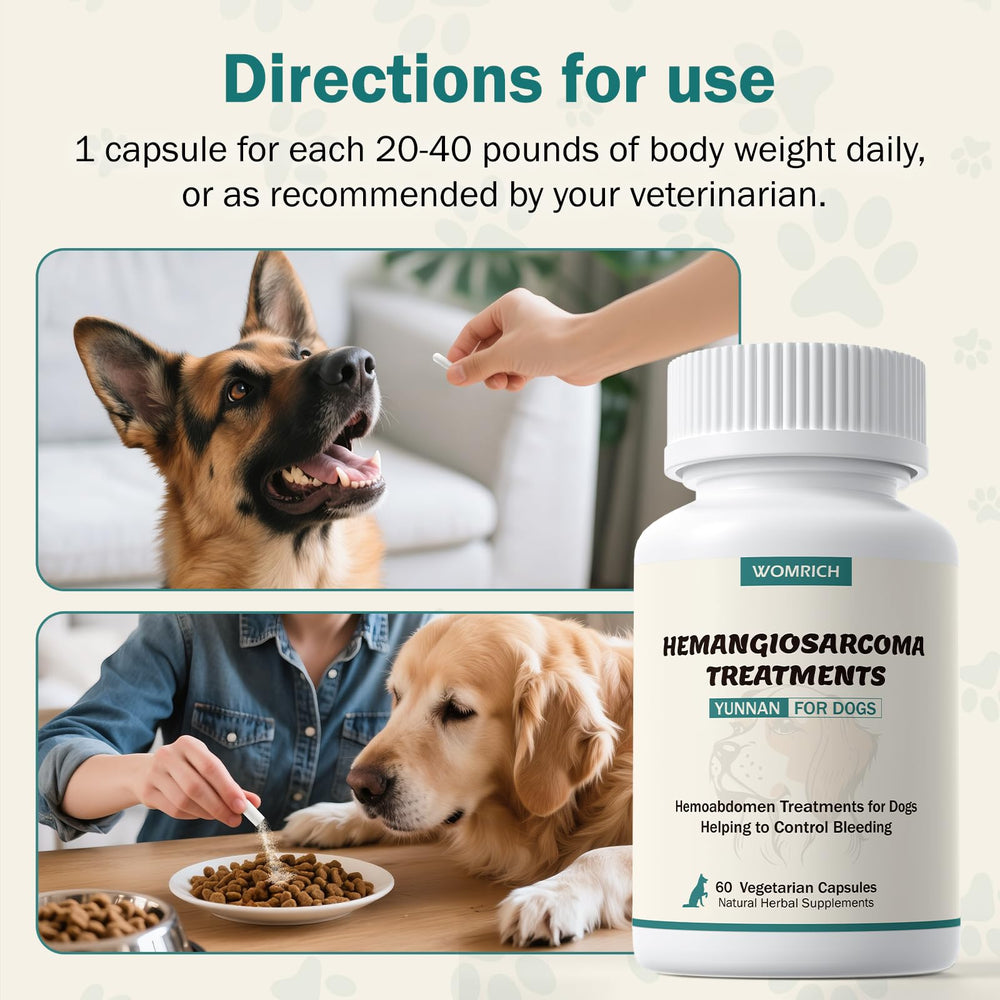 Vétérinaire donnant WOMRICH à un chien, soutien d'urgence pratique et sûr