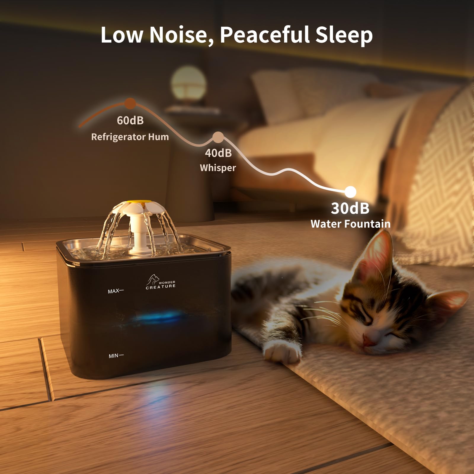 Wonder Creature comparaison taille 3L, capacité adaptée pour plusieurs animaux