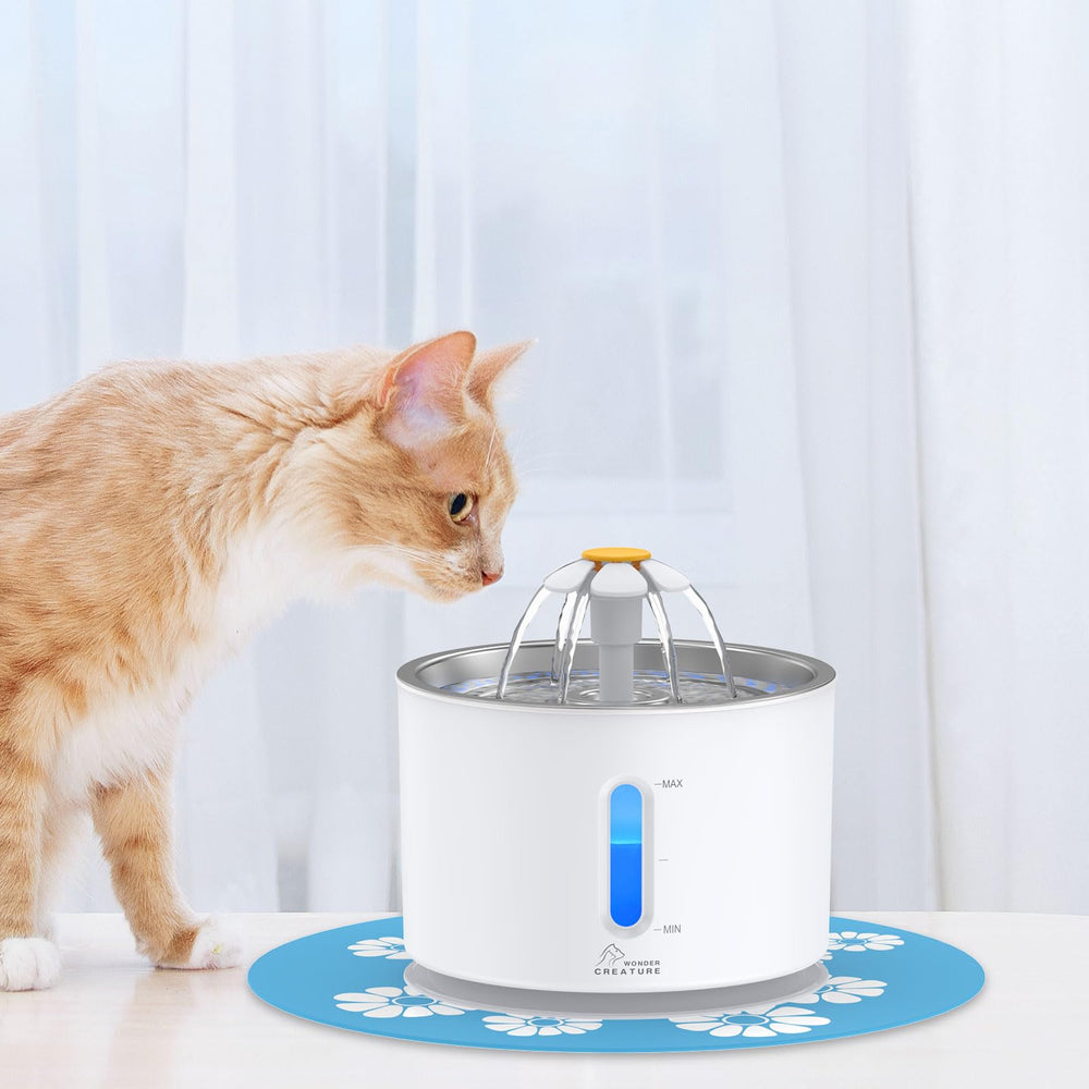 Wonder Creature comparatif d'échelle montrant capacité 2,4 L pour plusieurs animaux