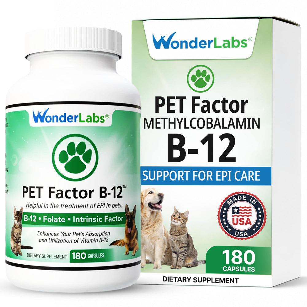 Wonder Laboratories flacon avant montrant l'étiquette claire et l'avantage de dosage pratique