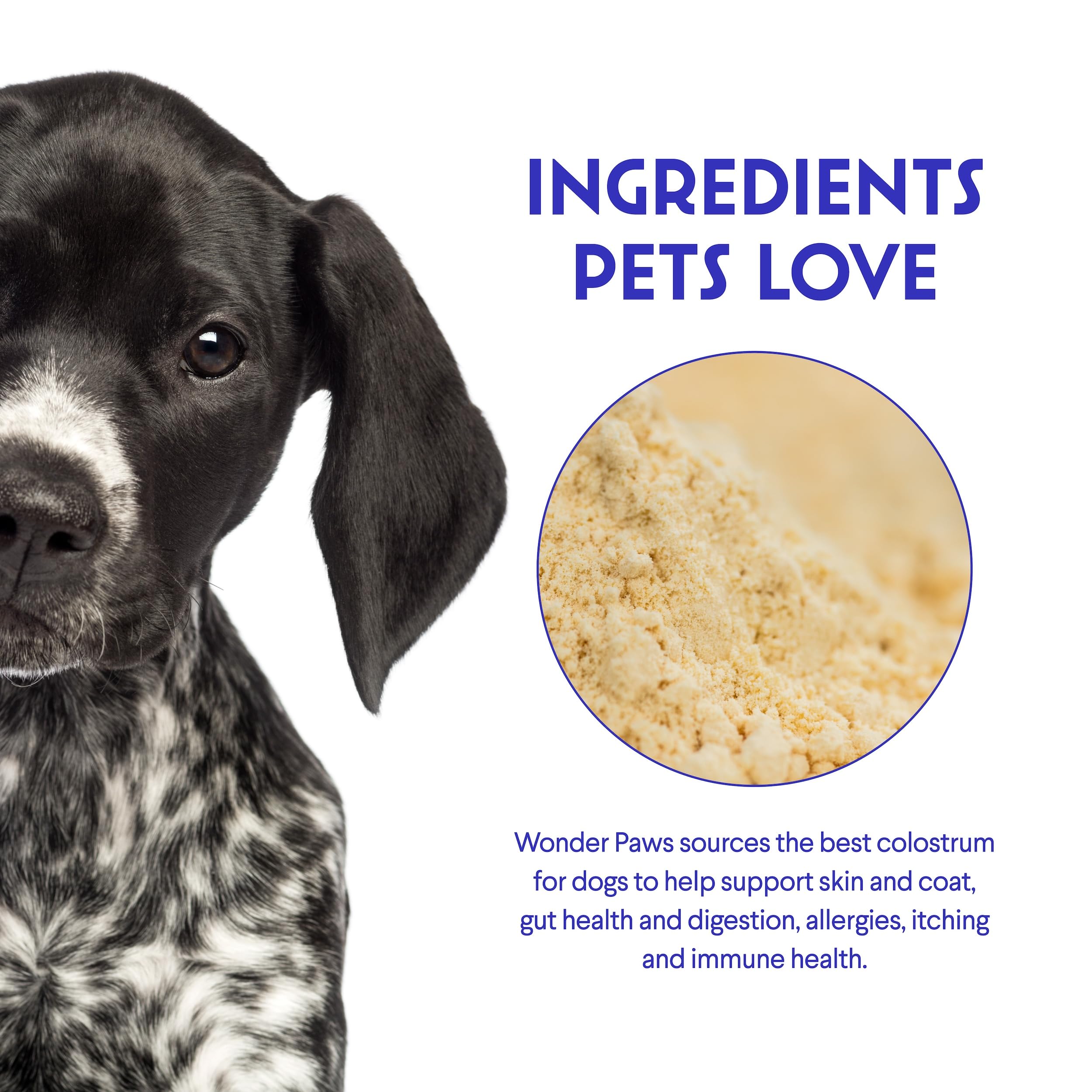 WONDER PAWS cuillère doseuse montrant le dosage pratique et précis