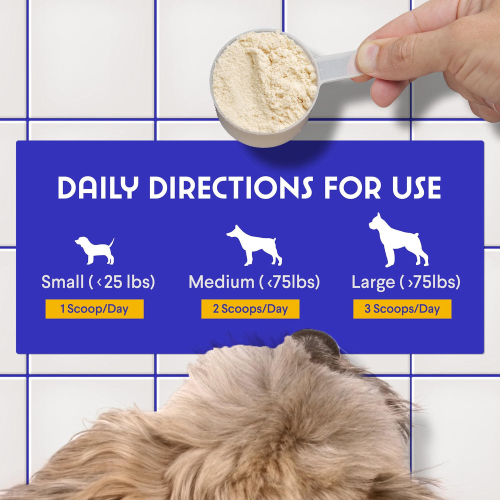 WONDER PAWS étiquette NASC et certifications visibles, gage de qualité