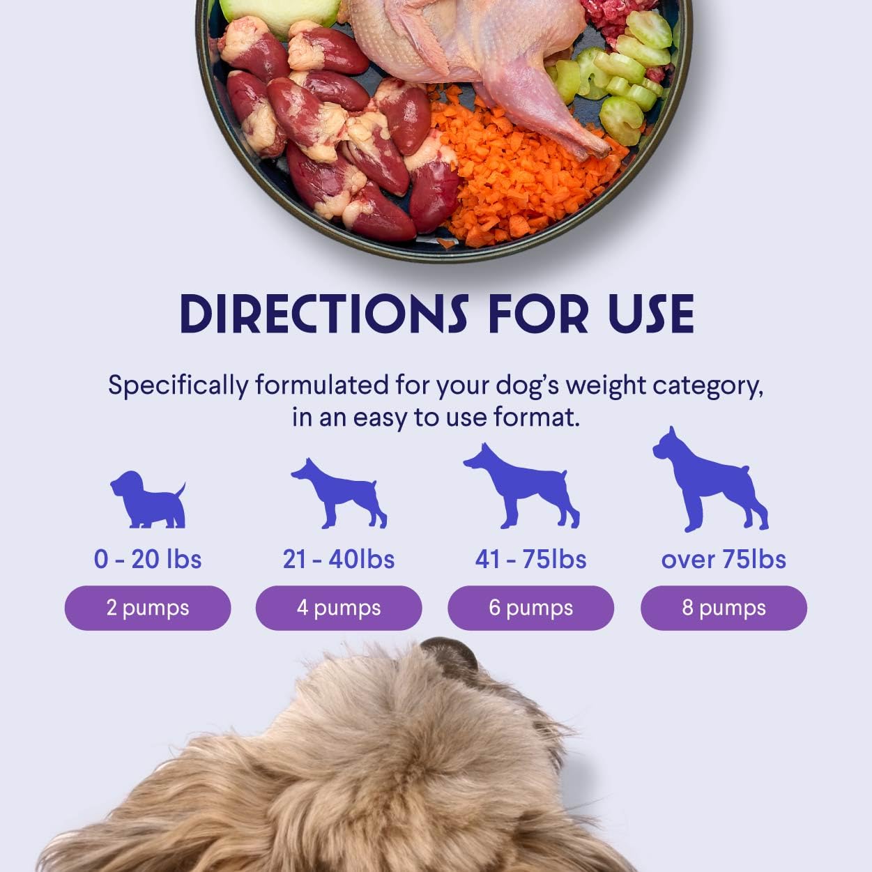 Wonder Paws bouteille à l'échelle avec chien illustre portion quotidienne facile