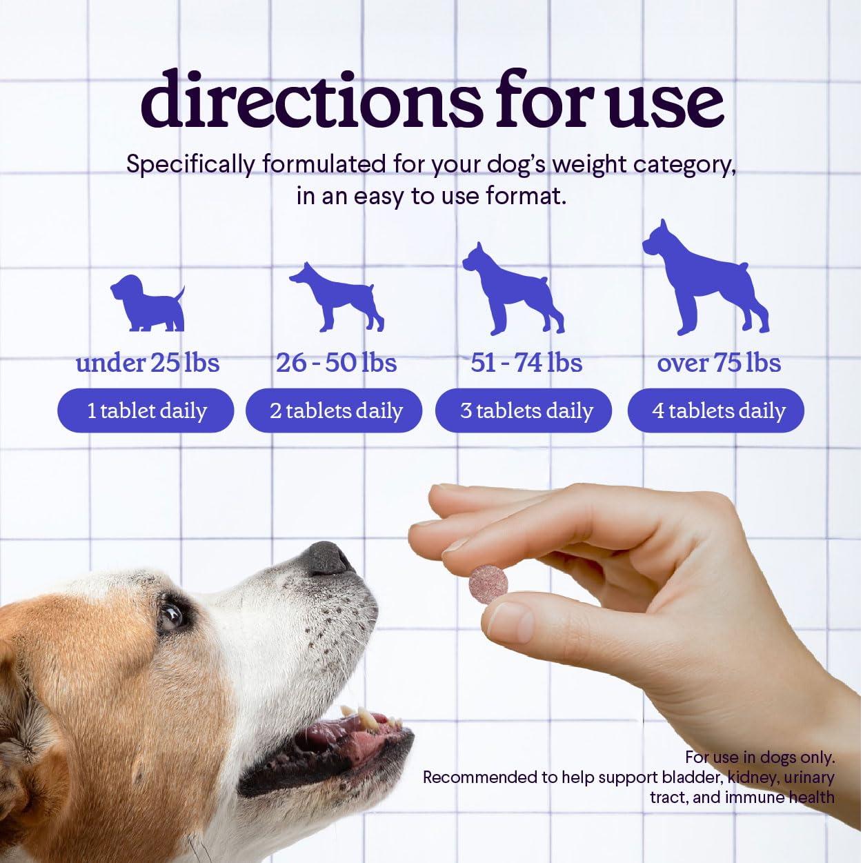 Comparaison de taille WONDER PAWS avec patte de chien pour évaluer portion