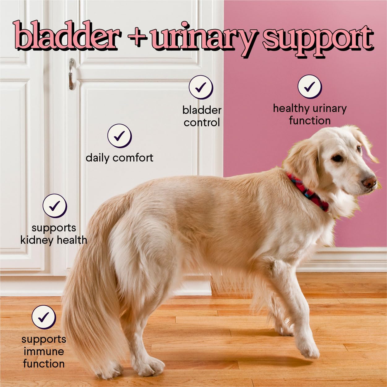 Étiquette WONDER PAWS détaillant ingrédients clés pour soutien urinaire et rénal